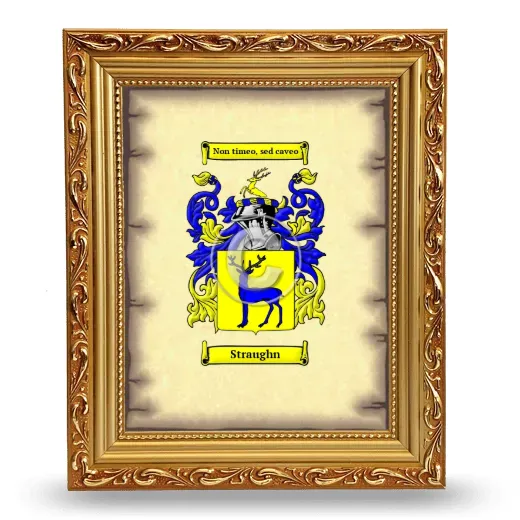 Straughn Coat of Arms Framed - Gold
