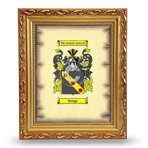 Strege Coat of Arms Framed - Gold