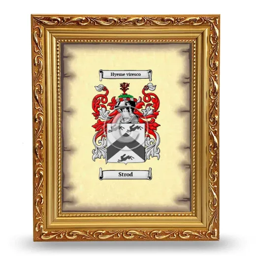 Strod Coat of Arms Framed - Gold