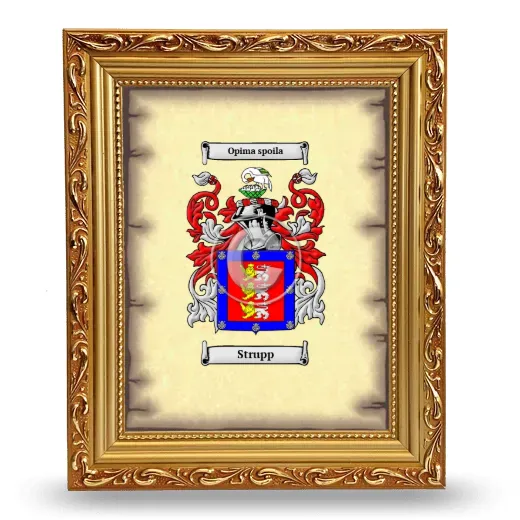 Strupp Coat of Arms Framed - Gold