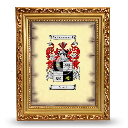 Strutt Coat of Arms Framed - Gold