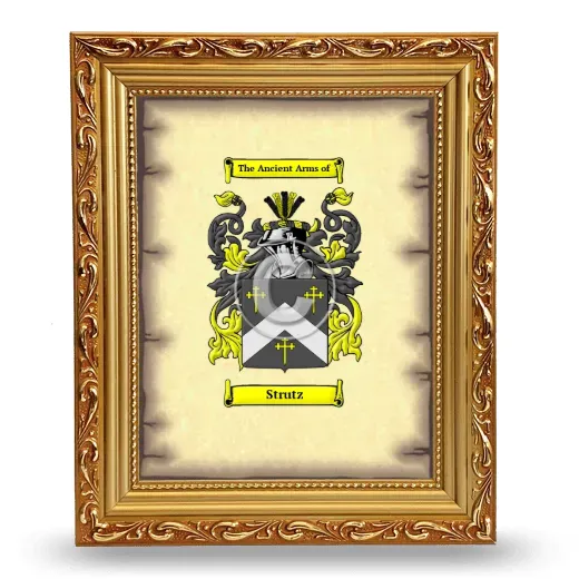 Strutz Coat of Arms Framed - Gold