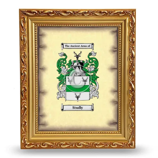 Studly Coat of Arms Framed - Gold