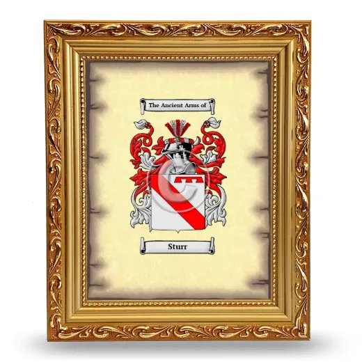 Sturr Coat of Arms Framed - Gold