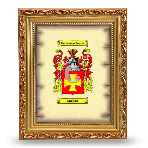 Suckau Coat of Arms Framed - Gold