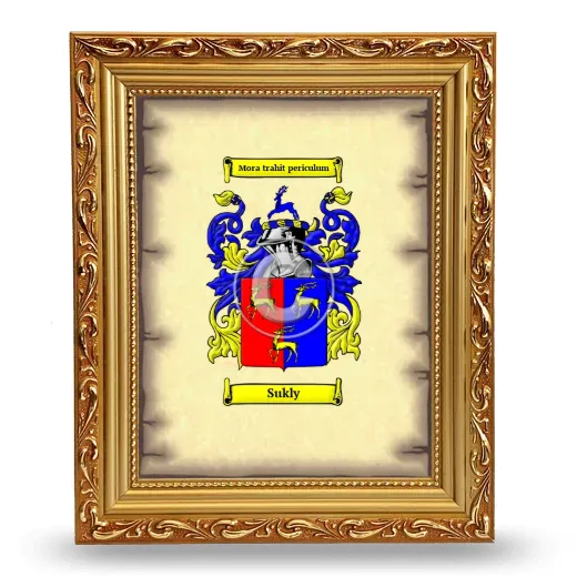 Sukly Coat of Arms Framed - Gold