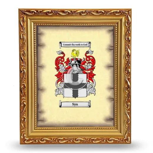 Syn Coat of Arms Framed - Gold