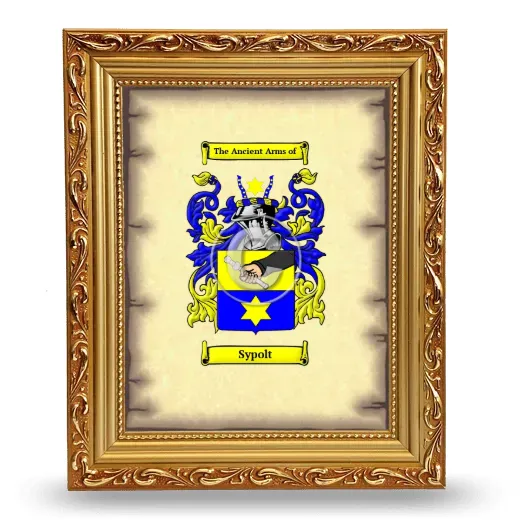 Sypolt Coat of Arms Framed - Gold