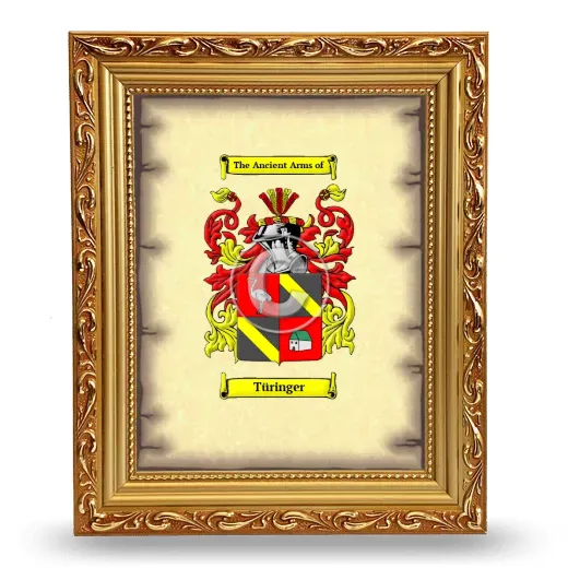 Türinger Coat of Arms Framed - Gold