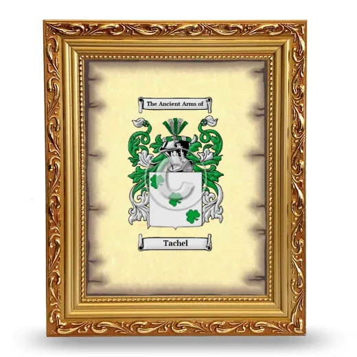 Tachel Coat of Arms Framed - Gold