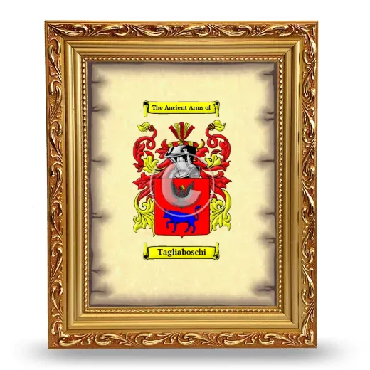Tagliaboschi Coat of Arms Framed - Gold