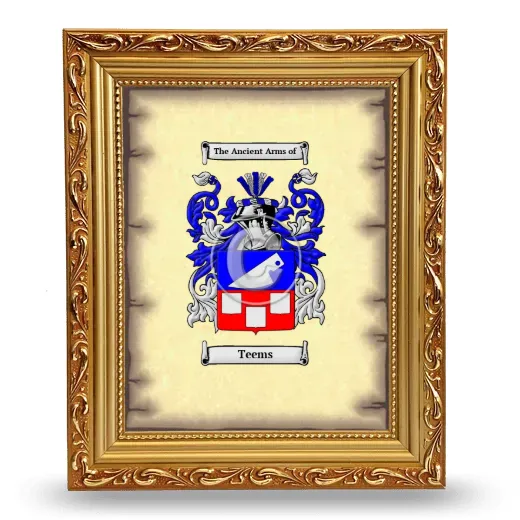 Teems Coat of Arms Framed - Gold