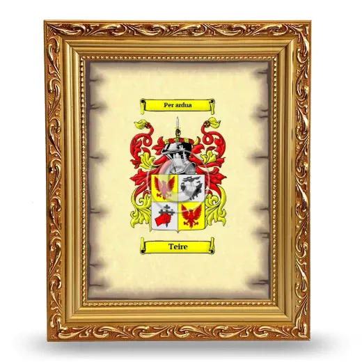 Teire Coat of Arms Framed - Gold