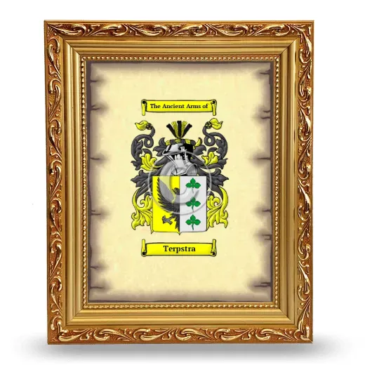 Terpstra Coat of Arms Framed - Gold