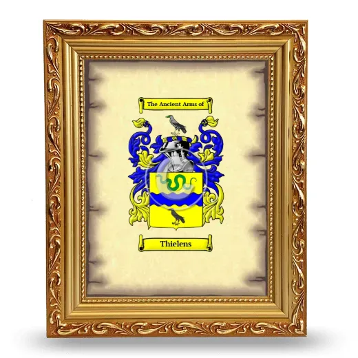 Thielens Coat of Arms Framed - Gold
