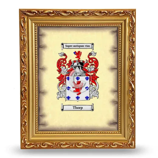 Thorp Coat of Arms Framed - Gold