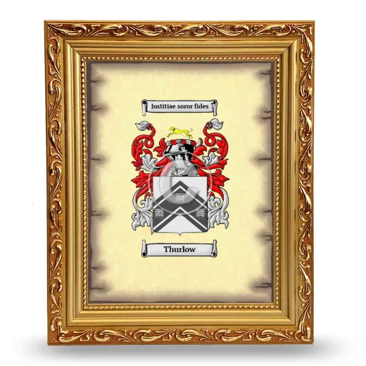 Thurlow Coat of Arms Framed - Gold