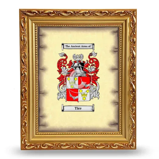 Tice Coat of Arms Framed - Gold