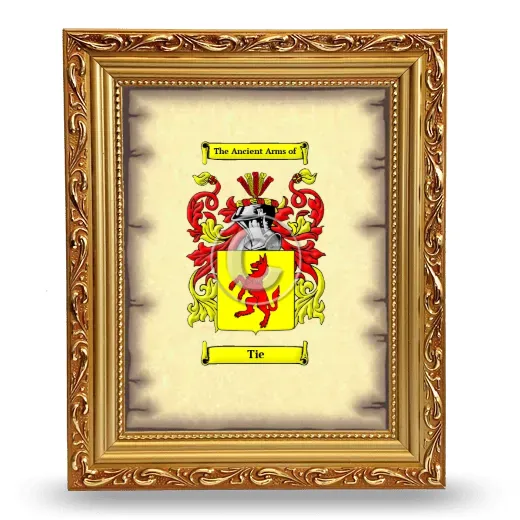 Tie Coat of Arms Framed - Gold