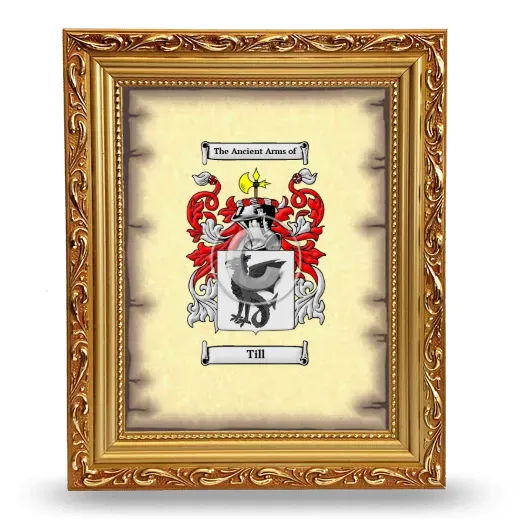 Till Coat of Arms Framed - Gold
