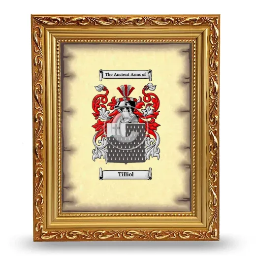 Tilliol Coat of Arms Framed - Gold