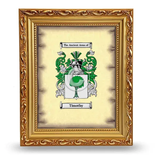 Timothy Coat of Arms Framed - Gold
