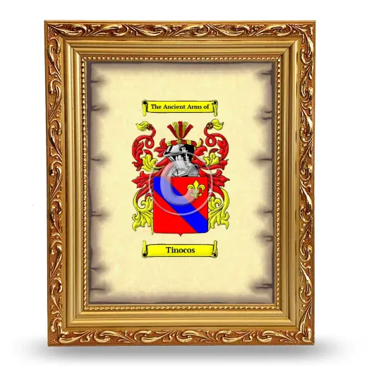 Tinocos Coat of Arms Framed - Gold