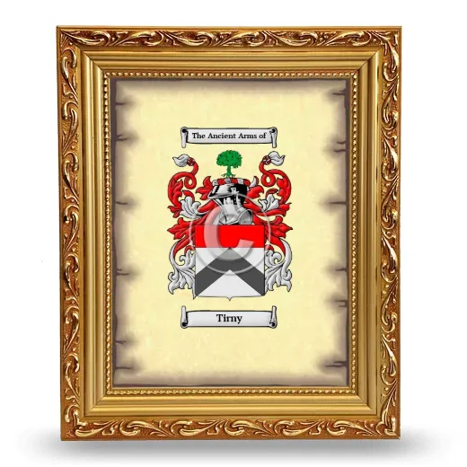 Tirny Coat of Arms Framed - Gold