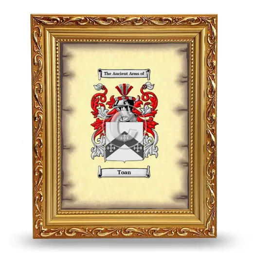 Toan Coat of Arms Framed - Gold