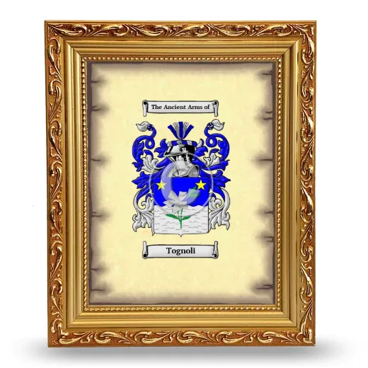 Tognoli Coat of Arms Framed - Gold
