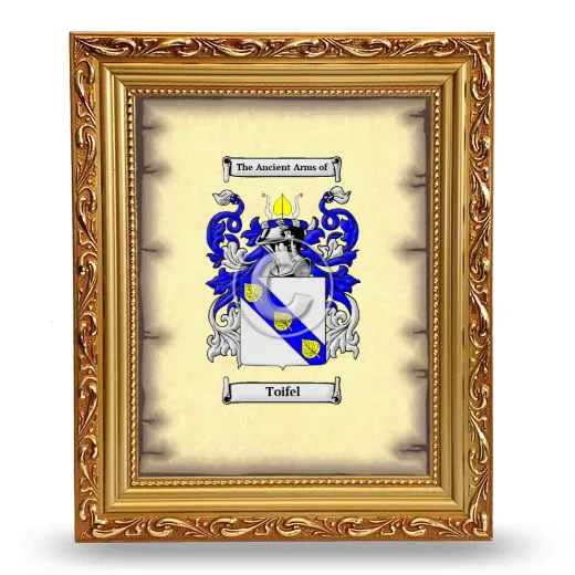 Toifel Coat of Arms Framed - Gold
