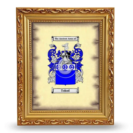 Tokod Coat of Arms Framed - Gold
