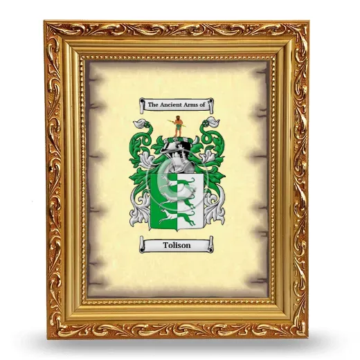 Tolison Coat of Arms Framed - Gold