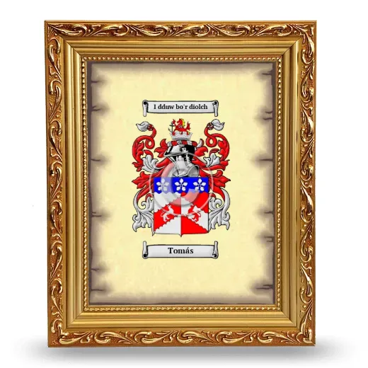 Tomás Coat of Arms Framed - Gold