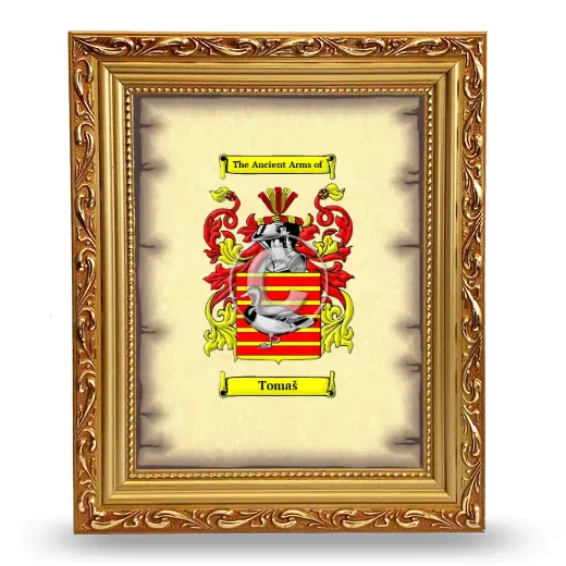 Tomaš Coat of Arms Framed - Gold