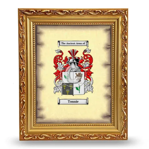 Tonnie Coat of Arms Framed - Gold