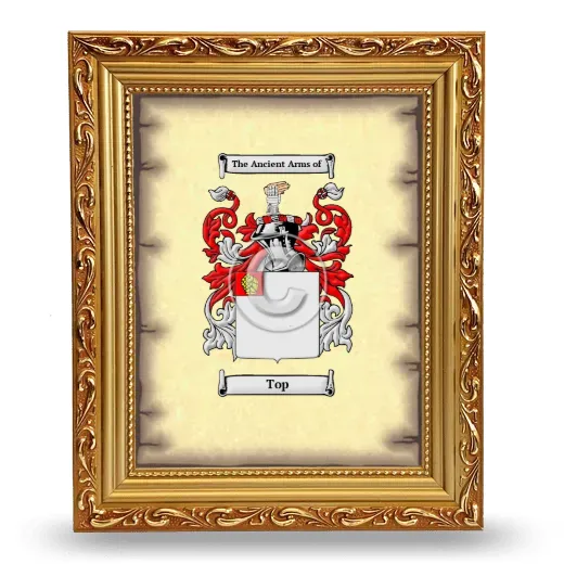 Top Coat of Arms Framed - Gold