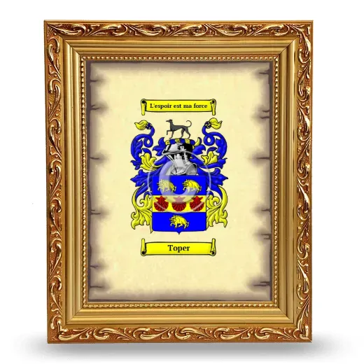 Toper Coat of Arms Framed - Gold
