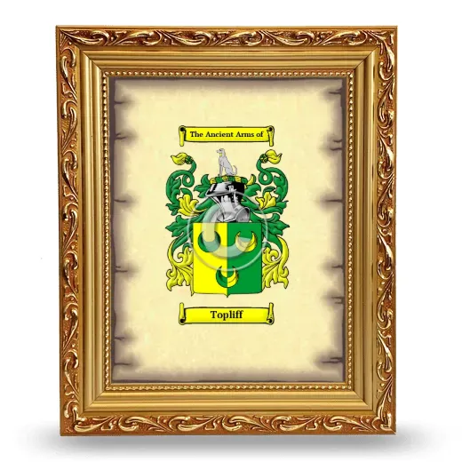 Topliff Coat of Arms Framed - Gold