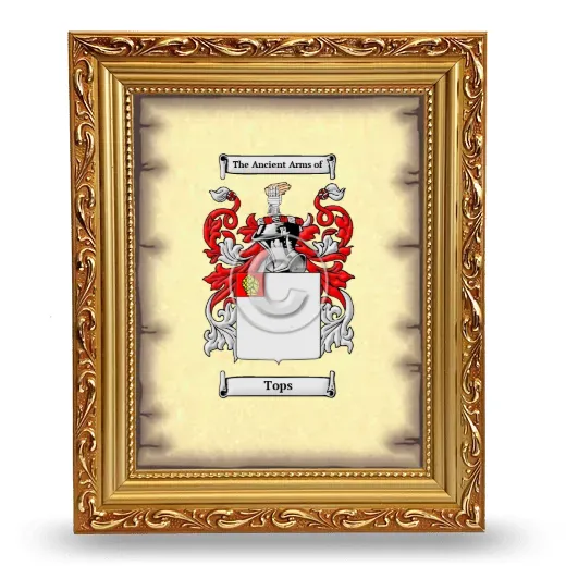 Tops Coat of Arms Framed - Gold