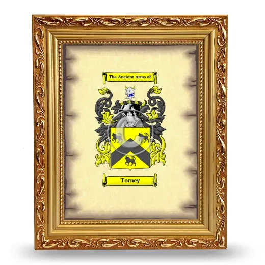 Torney Coat of Arms Framed - Gold