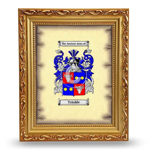 Tränkle Coat of Arms Framed - Gold