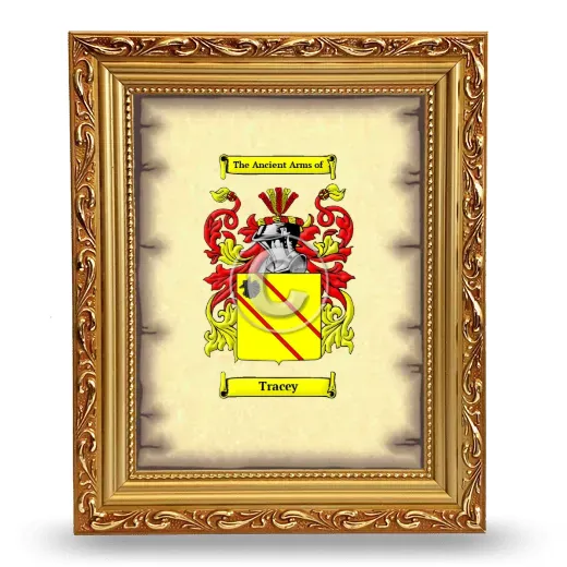 Tracey Coat of Arms Framed - Gold