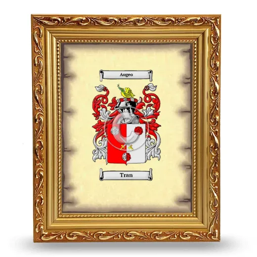Tran Coat of Arms Framed - Gold