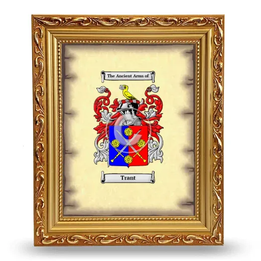 Trant Coat of Arms Framed - Gold