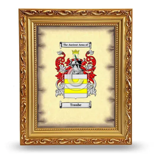 Traube Coat of Arms Framed - Gold