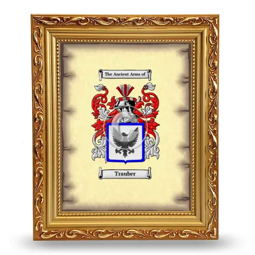 Trauber Coat of Arms Framed - Gold