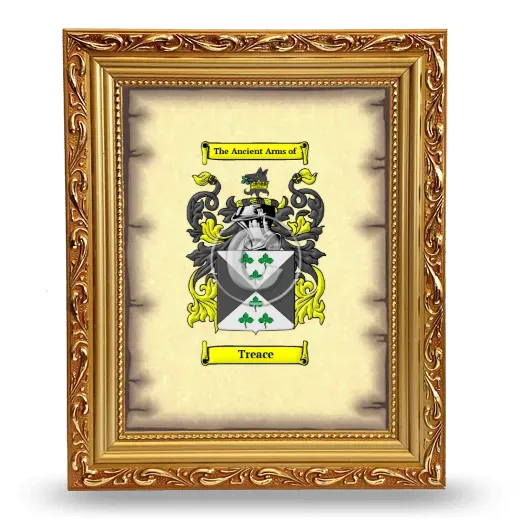 Treace Coat of Arms Framed - Gold