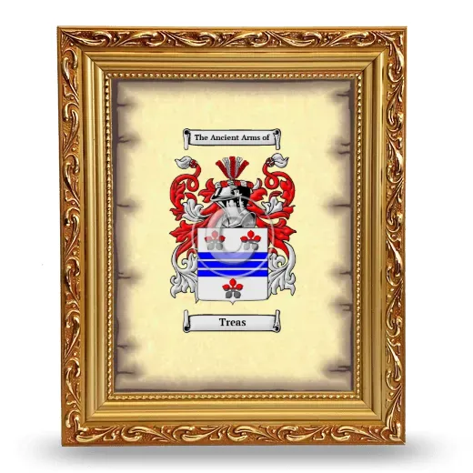 Treas Coat of Arms Framed - Gold