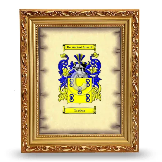 Trebas Coat of Arms Framed - Gold